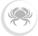 crab